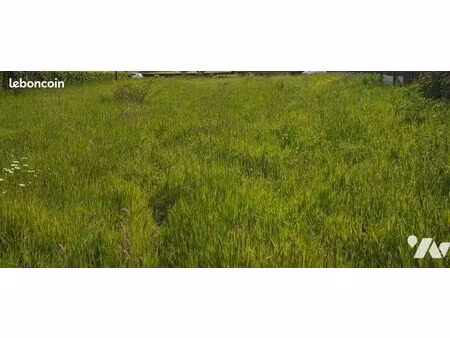 terrain 1033 m² alquines