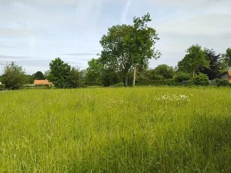 terrain 1453 m² alquines