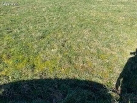 terrain 515 m² carnac