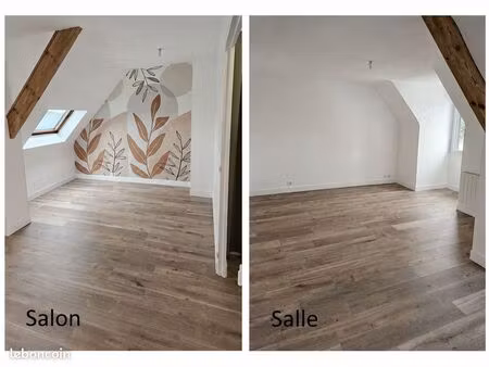 appart f2 bis 62 m² ( entièrement rénové )