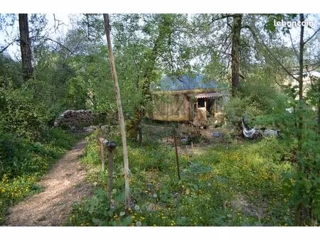 grand terrain avec yourte habitable