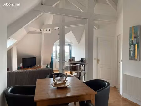 belle appartement brissac