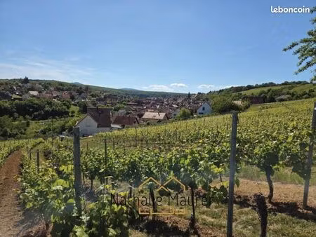 terrain 1 106 m² rosenwiller