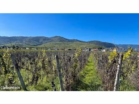 terrain 252 m² wintzenheim