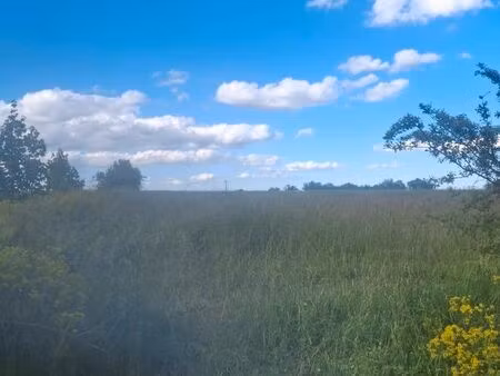 terrain agricole