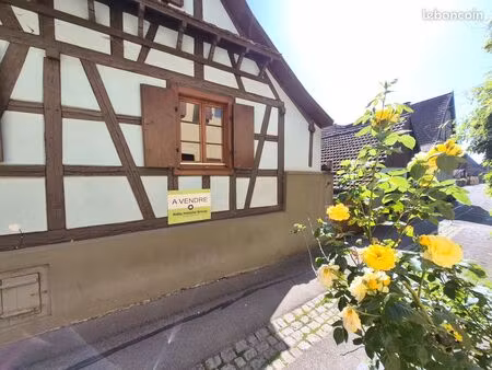 maison de village de caractère avec grand jardin au bord de l'eau – andlau