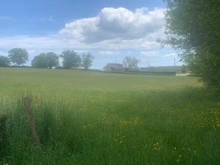 vente terrain 12 000 m2 (1 000 m2 constructibles)
