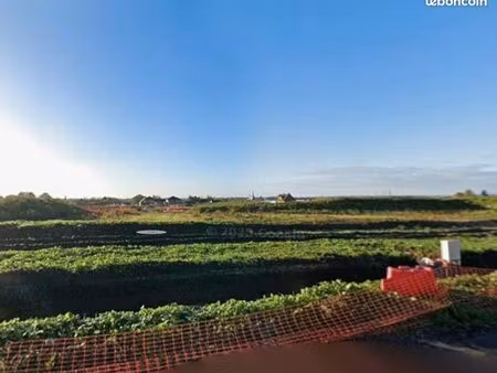 terrain 425 m² harnes