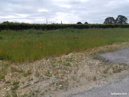 terrain 418 m² mazingarbe