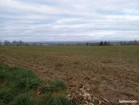terrain constructible viabilisé