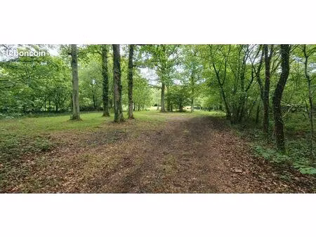 terrain de loisir boisé  avec étang