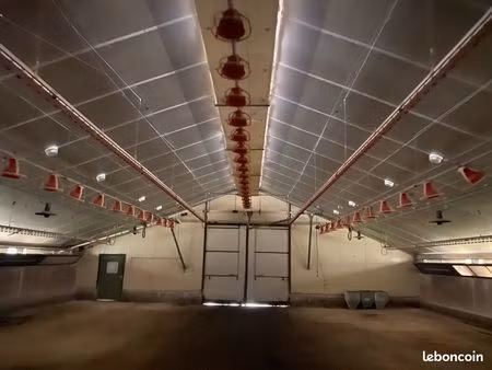 location vente bâtiment avicole