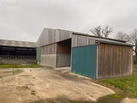 vente location bâtiment bovin