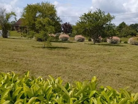 terrain constructible