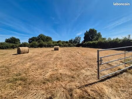 terrain agricole