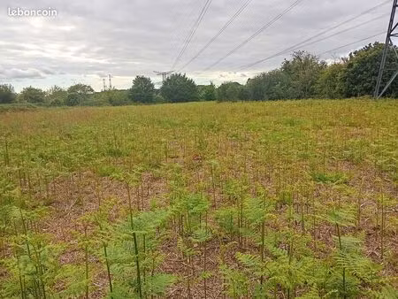 parcelle de terre en friche