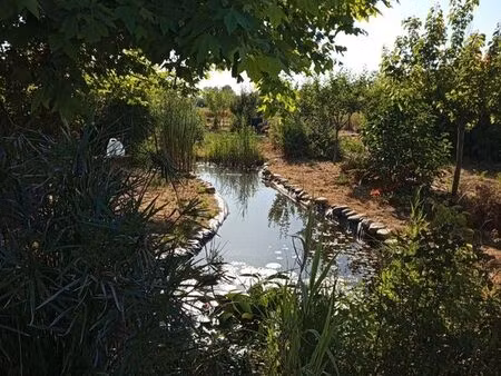 terrain aménagé - permaculture