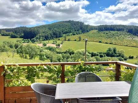 maison de village avec jardin   terrasse et très belle vue