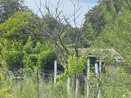 jardin familial avec petit abri de jardin