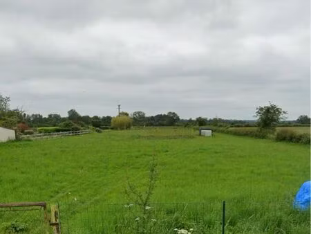 terrain de 6000m2 viabilisable