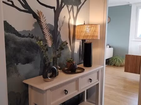 beau t2 bis lumineux et spacieux