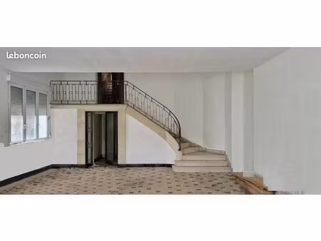 grande maison + garage + jardin