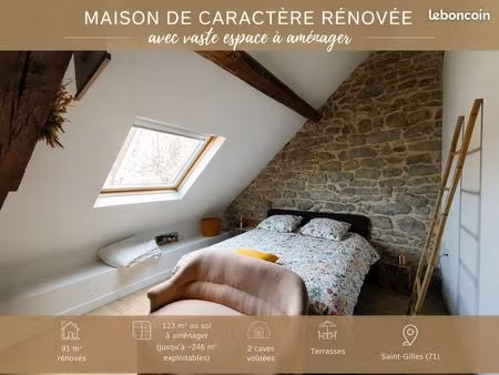 maison de caractère rénovée + volume exceptionnel à aménager – saint-gilles (71)