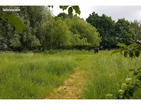 terrain viabilisé  905m²  largeur 20m visite rapide avec propriétaires