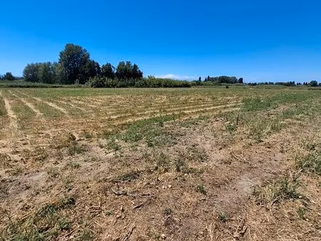 terrain agricole 1 hectare