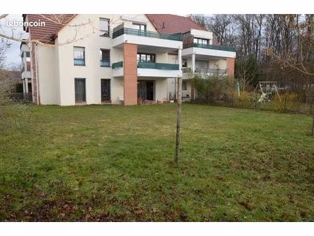 ostheim  appartement rez de jardin à vendre