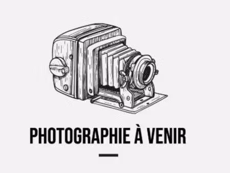 vend appartement t3