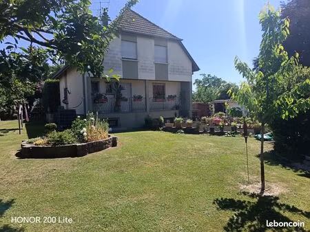 maison et grand terrain