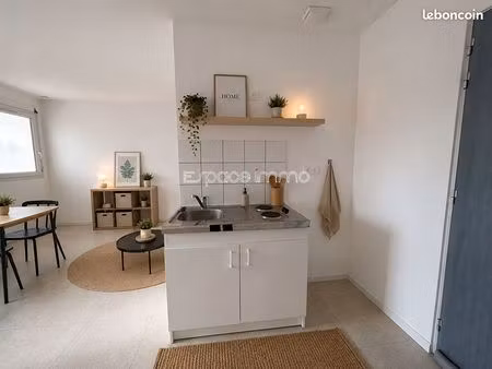 studio 1 pièce 31 m²