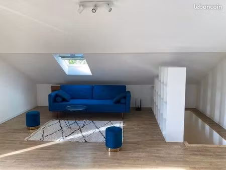 loft 64m2 bogeve centre