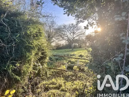 vente terrain 970 m² à picauville (50360)  22 000 €