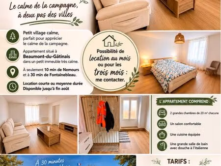 appartement - location