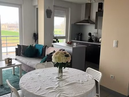 f2 lumineux 41 m² avec terrasse  parking et vue dégagée sur les champs