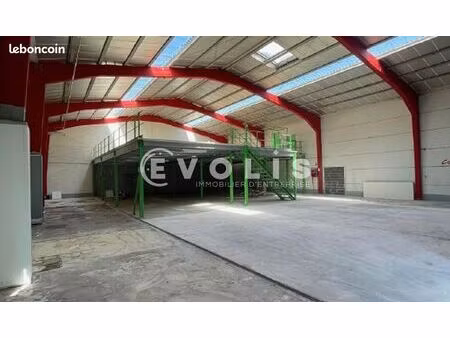 local bureaux 446 m²