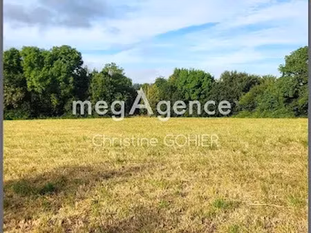 vente terrain à batir 6042 m² à ecoyeux (17770)  102 000 €