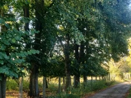 terrain 2 500 m² — moisson lavacourt — 15 /m²