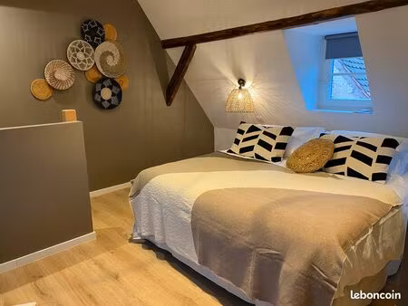 magnifique duplex - hyper centre obernai - totalement rénové