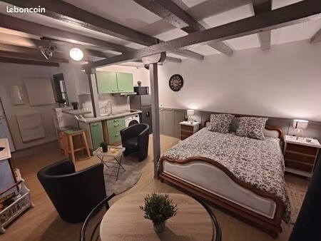 libre de suite studio meublé avec cour 27m2 calme et lumineux. équipé lave linge et frigo 