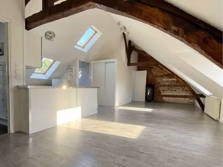 appartement sous combles  très lumineux en centre ville