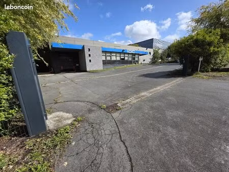 bureaux 2631 m² bondues