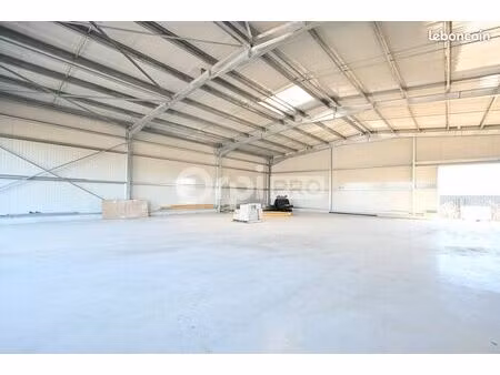 local d'activité 300 m²