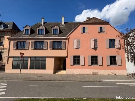local 77 m² ribeauville