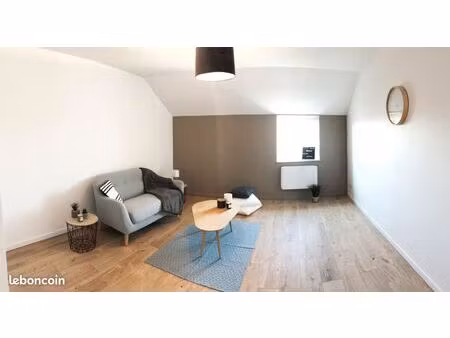 charmant duplex t2 rénové - immeuble en pierre sarthoise dans le centre historique