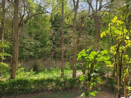 urgent vente appartement en lisière de forêt
