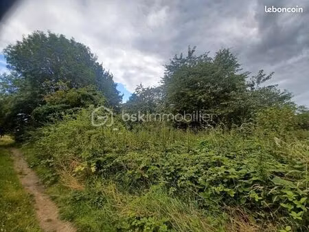 forêt 7 000 m² saint augustin