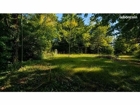 terrain 600 m² gaillac